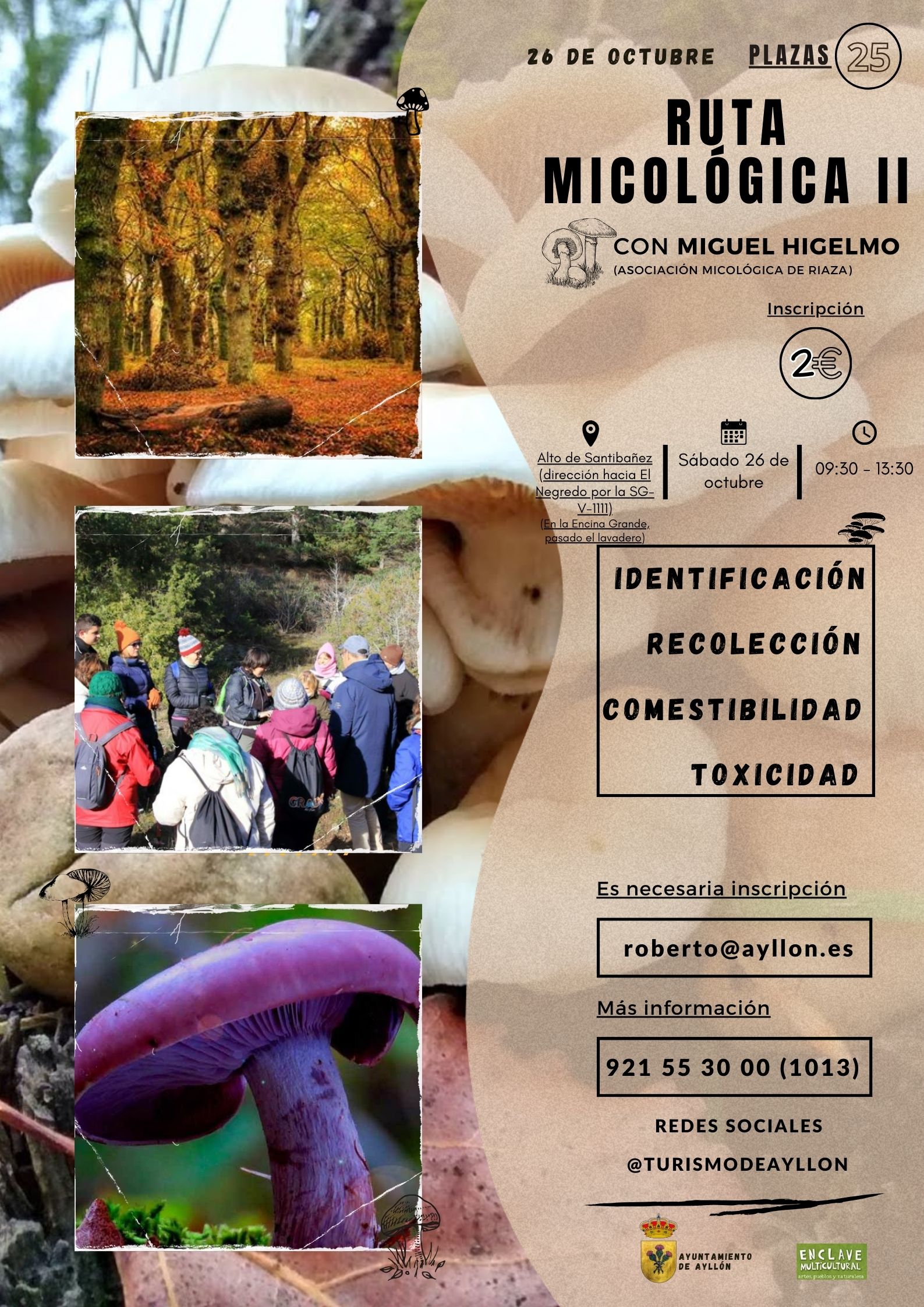 Responsive Image