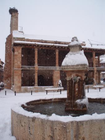 Ayllón nevado 1