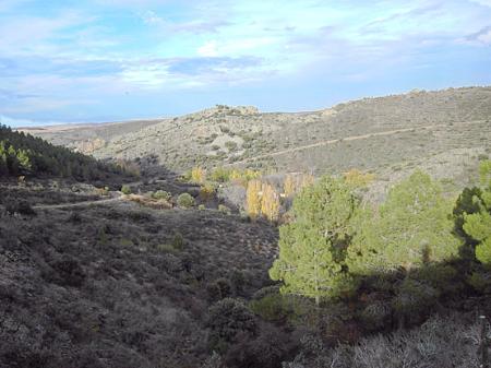 Imagen Ruta Nogales