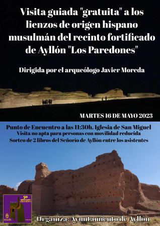 Imagen Visita guiada a los lienzos de origen hispano musulmán del recinto fortificado de Ayllón 