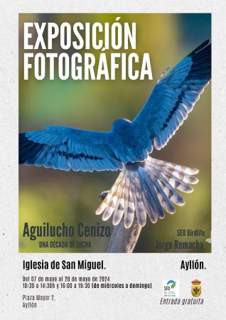 Imagen EXPOSICIÓN FOTOGRÁFICA - AGUILUCHO CENIZO, UNA DÉCADA DE LUCHA